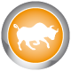 Bull image